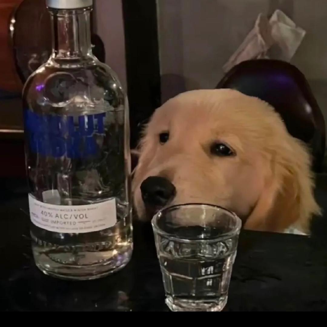 哇哦～