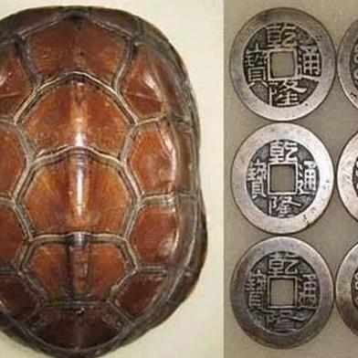 一个龟壳六个铜钱