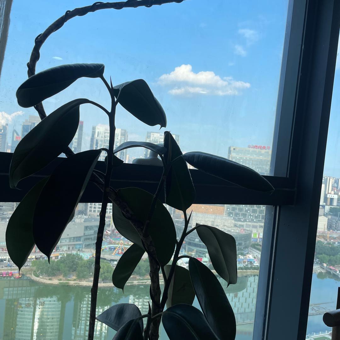 收藏🍃