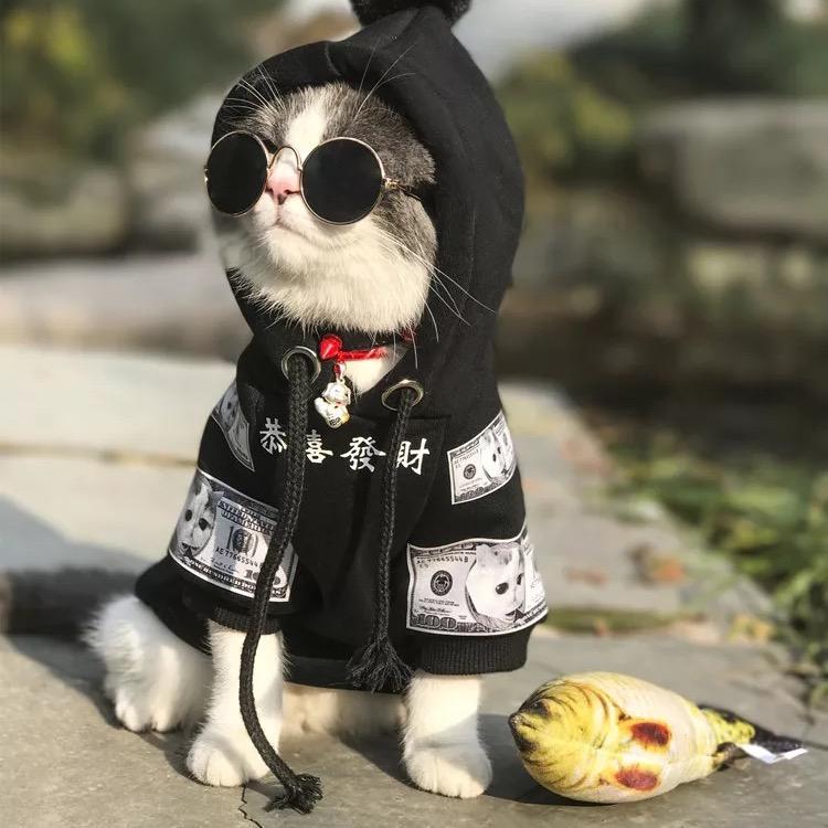 出门儿转转