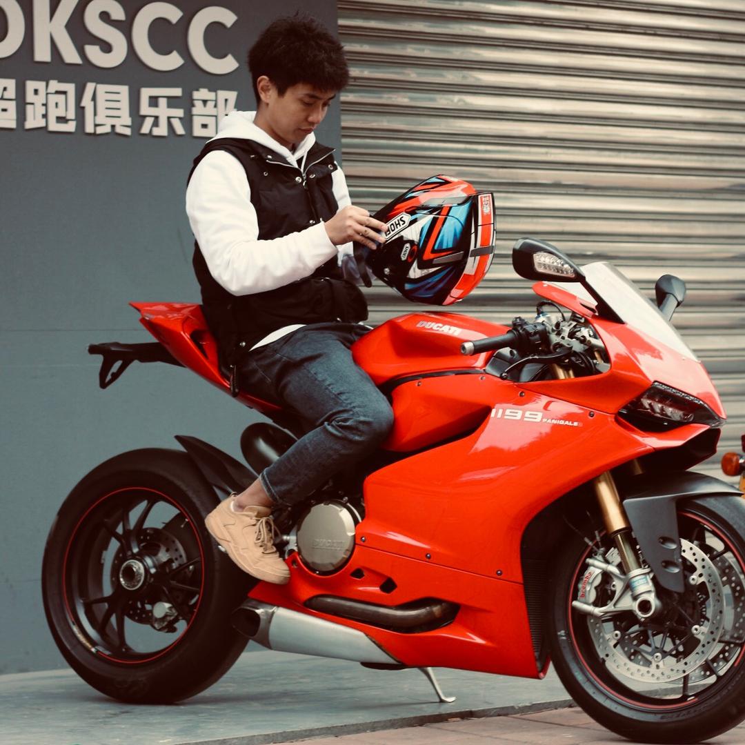赛鸽风云—有料