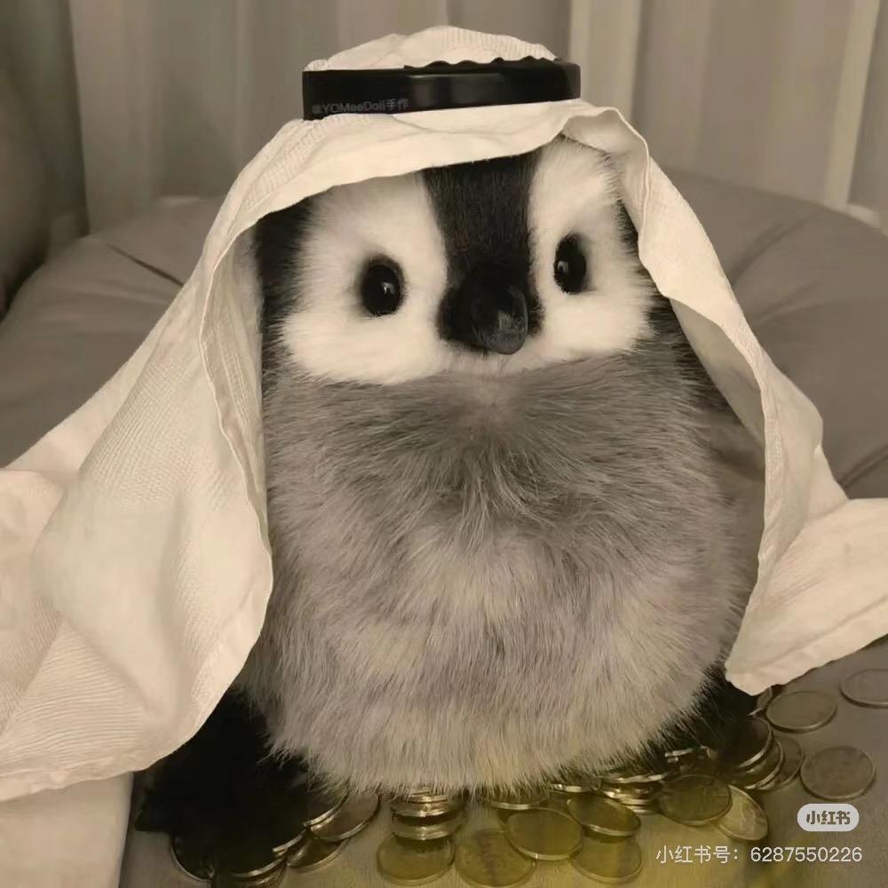 QQ