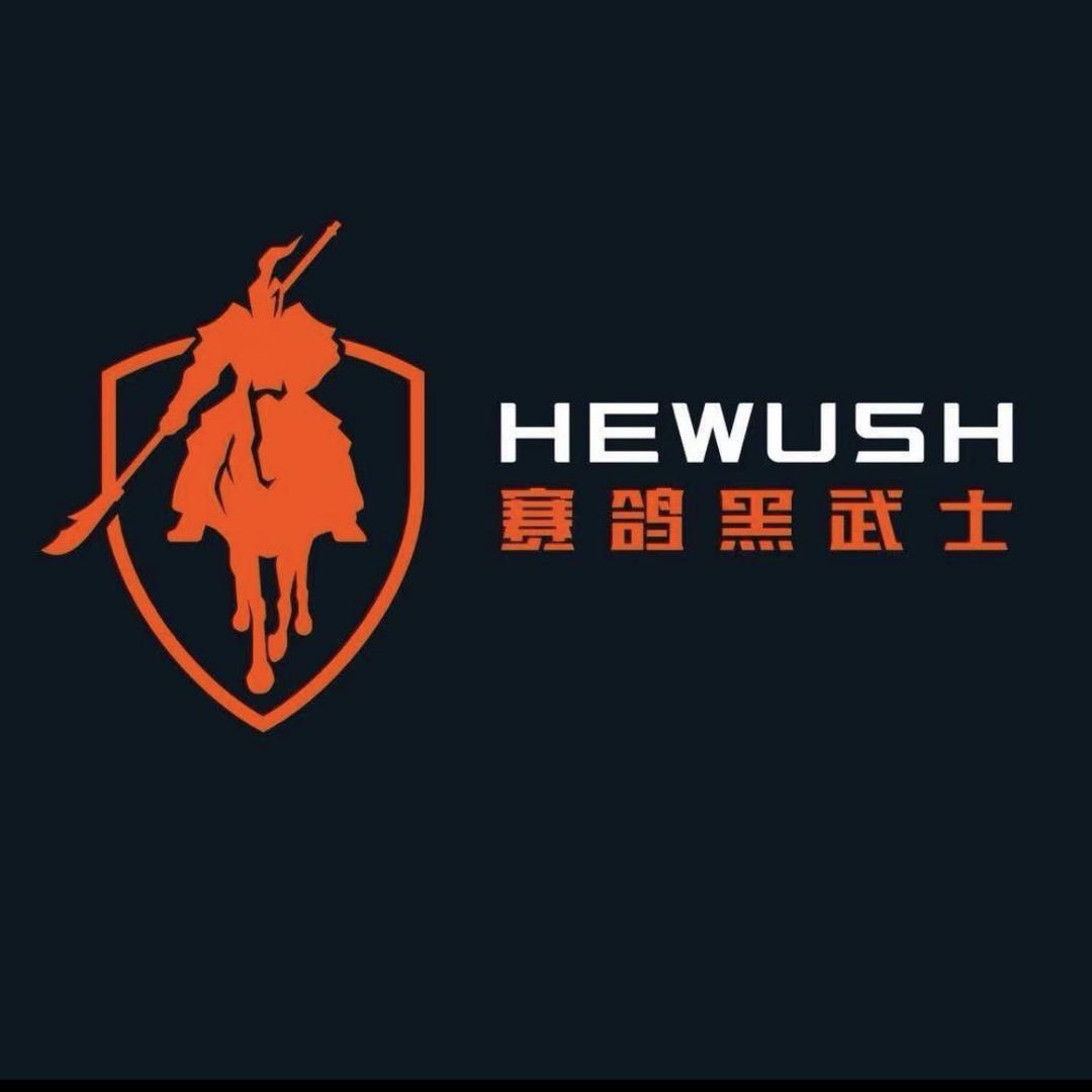 赛鸽电动车专营店