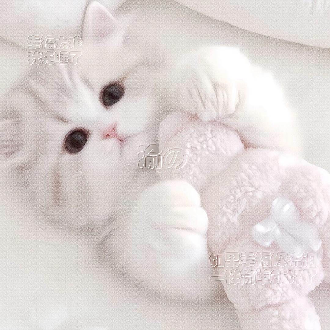 清水
