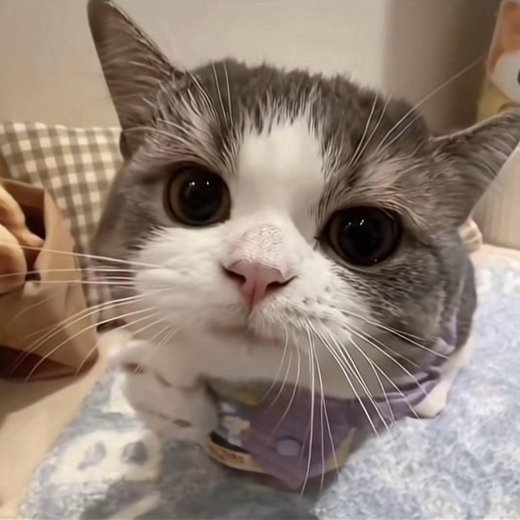 刘聪聪聪