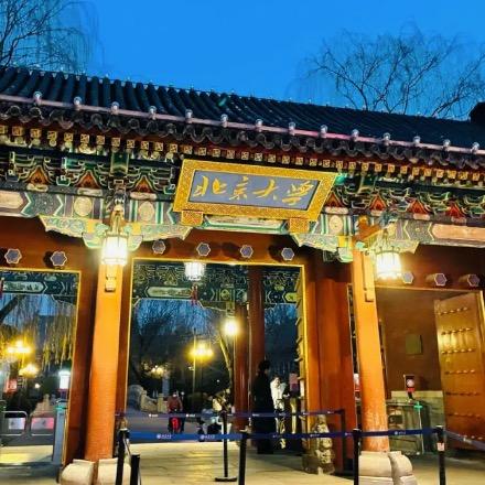 北大迪迪学姐