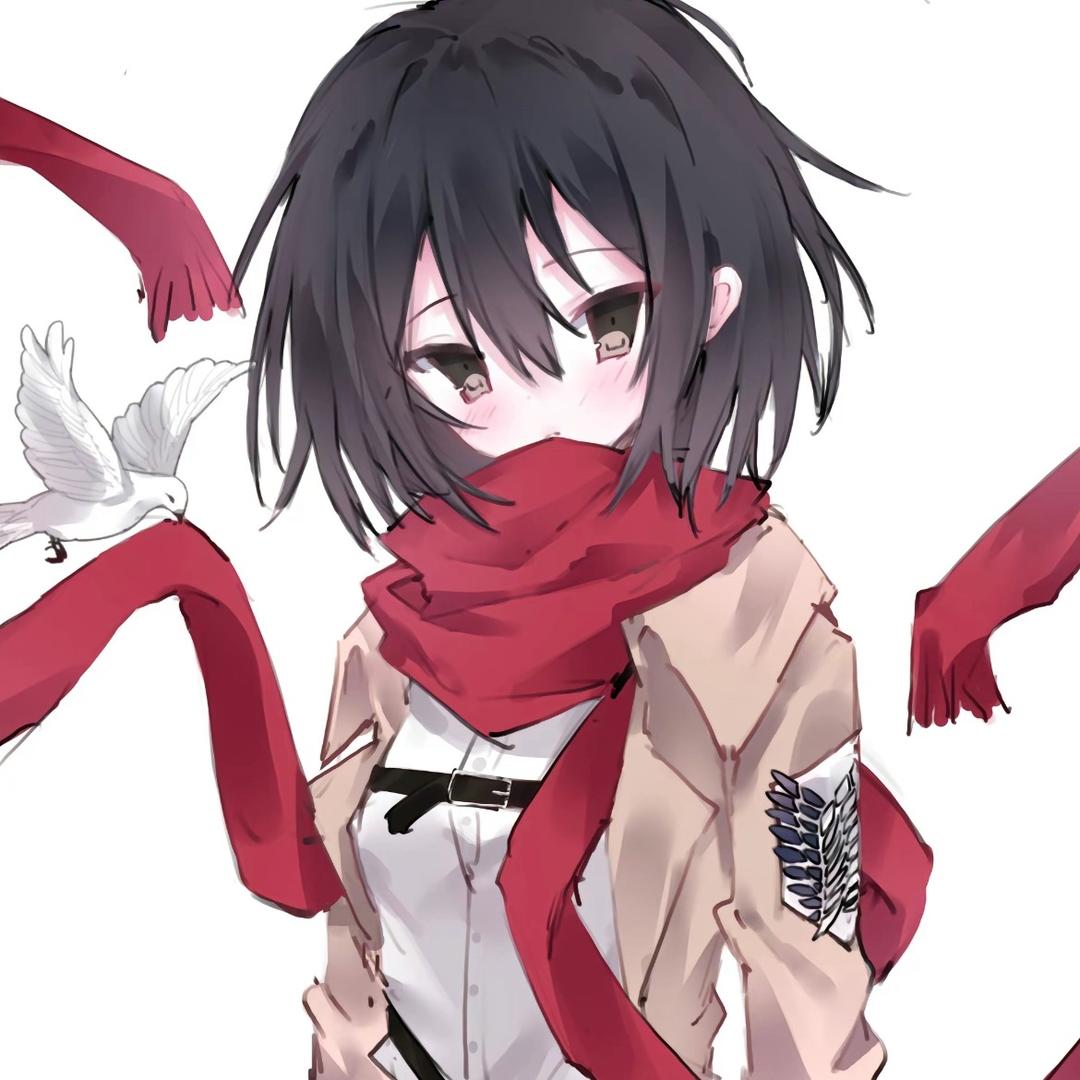 Mikasa