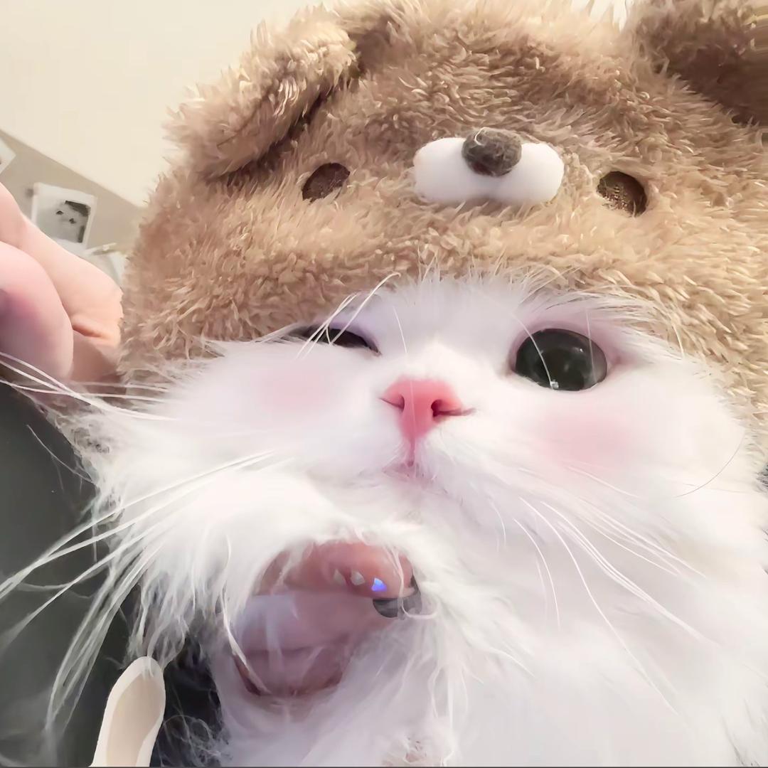 小蕾姐姐