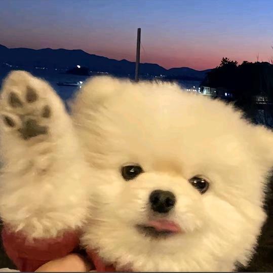 1250