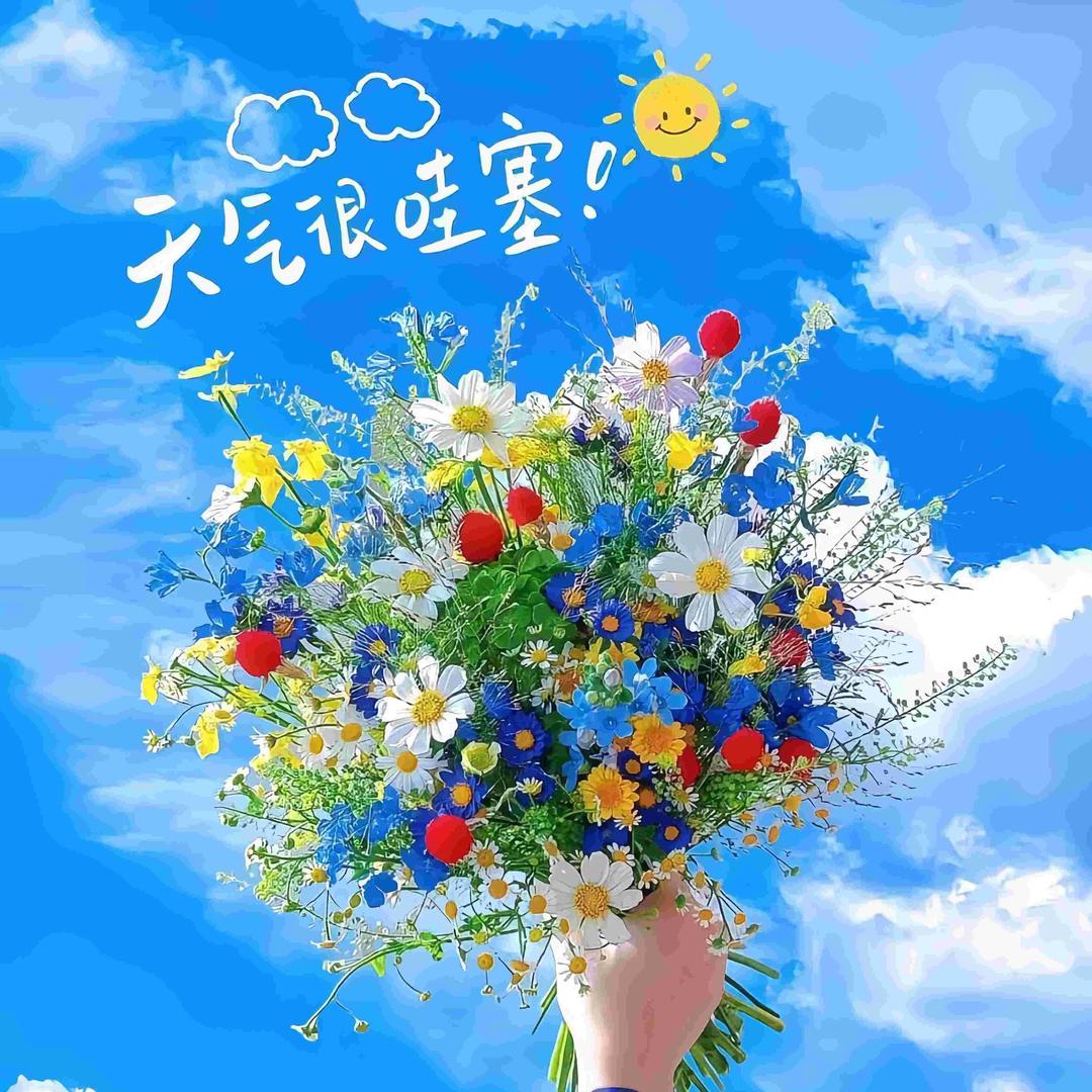 ᨳ͛丢失的兔子酱ᰔᩚ