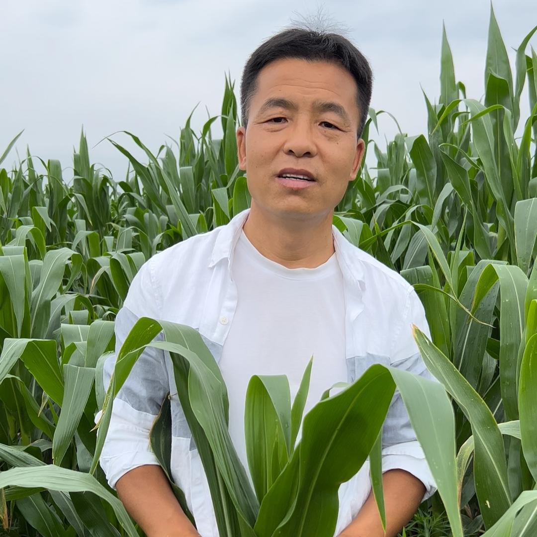 良子9月10号结婚纪念日内蒙专场