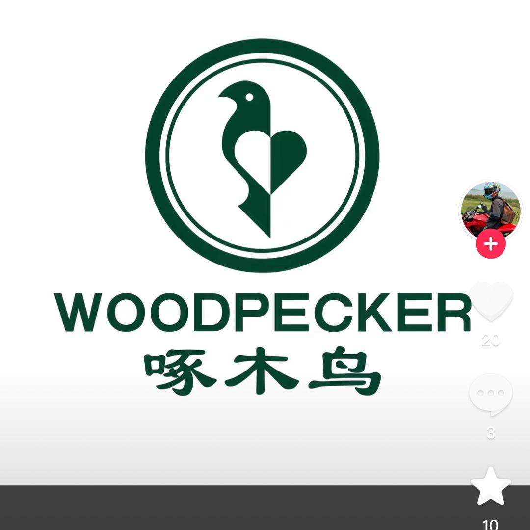 啄木鸟1号店