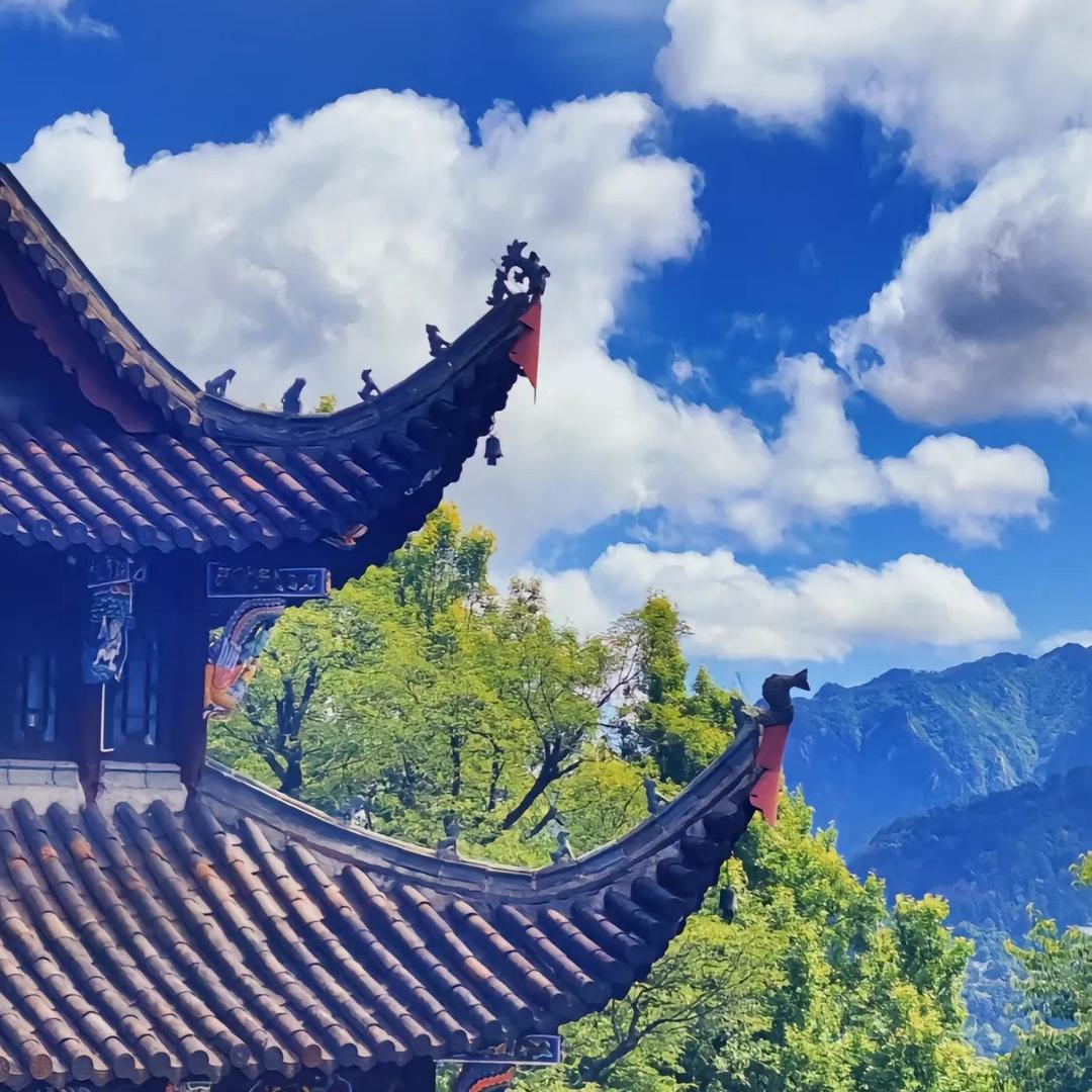 我好哇噻