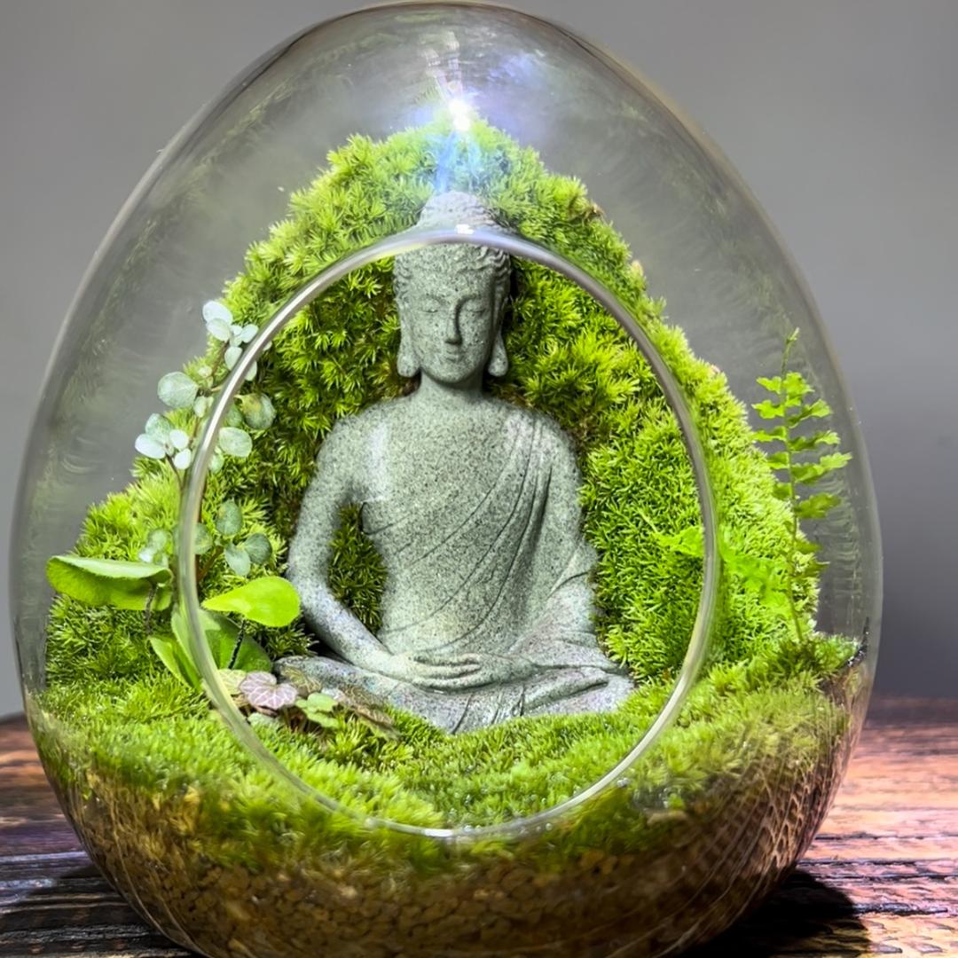 醉弦居《微景观》