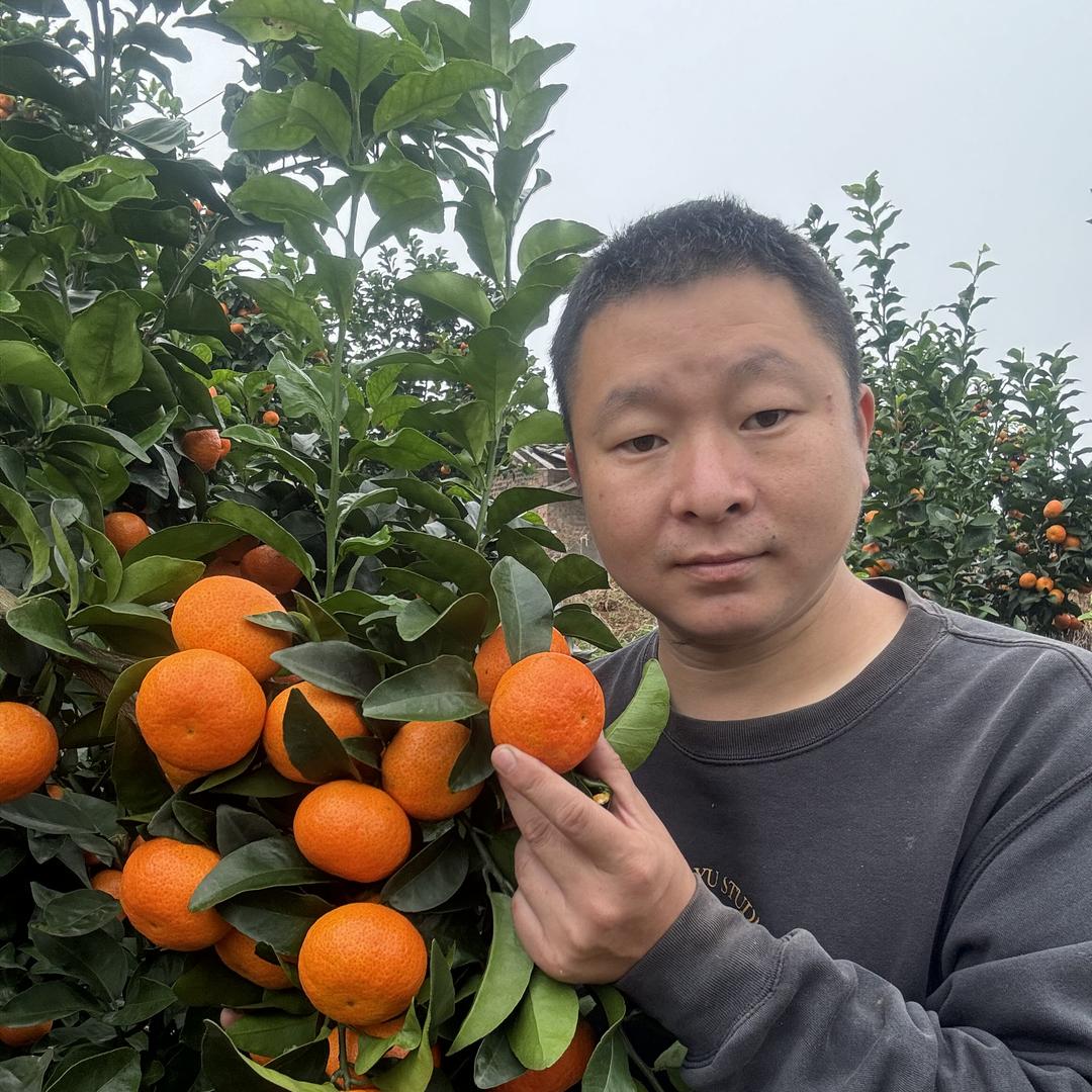 黑哥选果