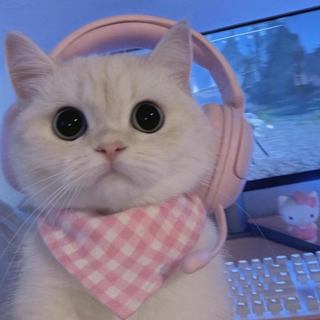 比奇堡名媛ᐝ