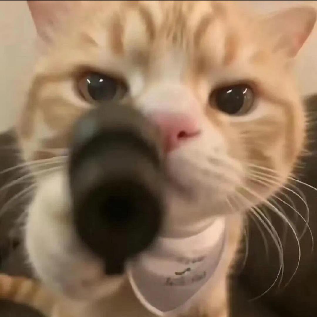 刀刀