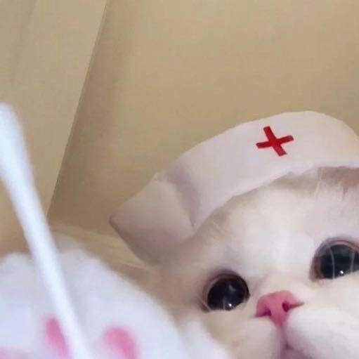 💓虫虫的会员小店💗