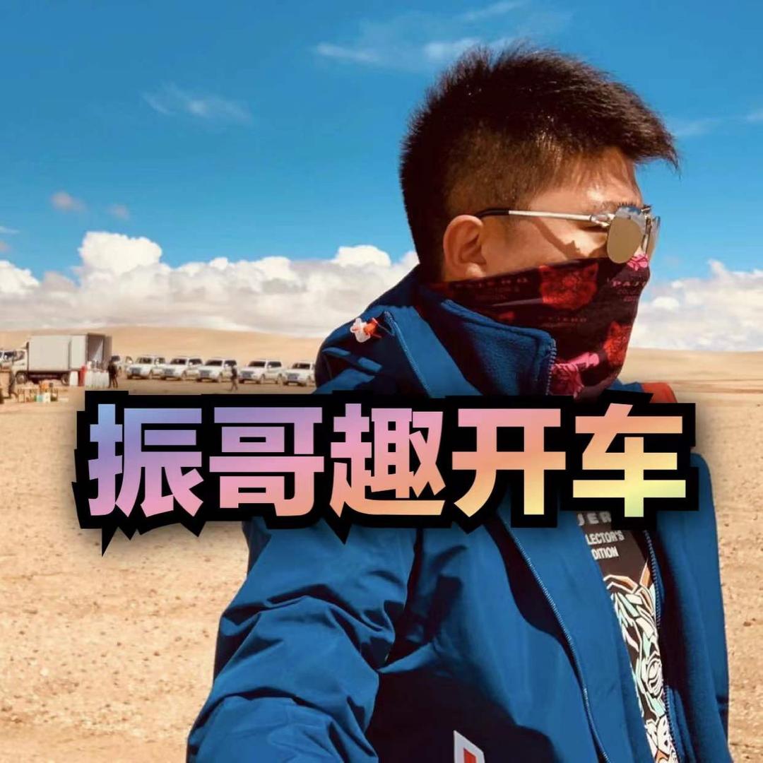 振哥趣开车