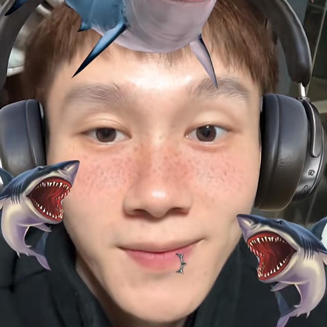 汕头鲲蛋