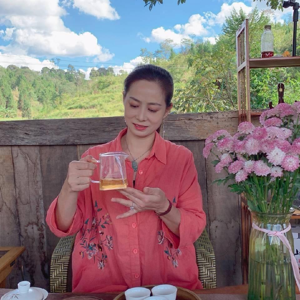 古茶树茶行—金姐