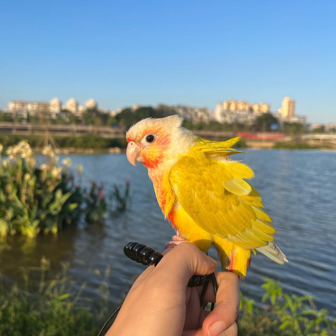 招财进宝🐤日常