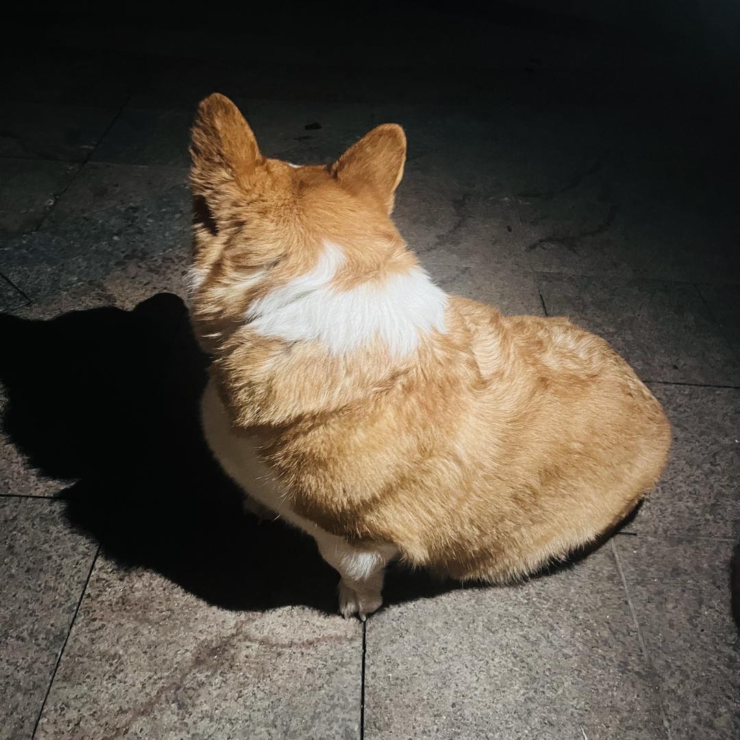 oioi琉璃小屋