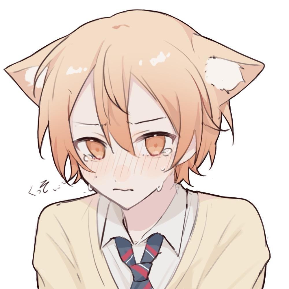 率鸽🎸
