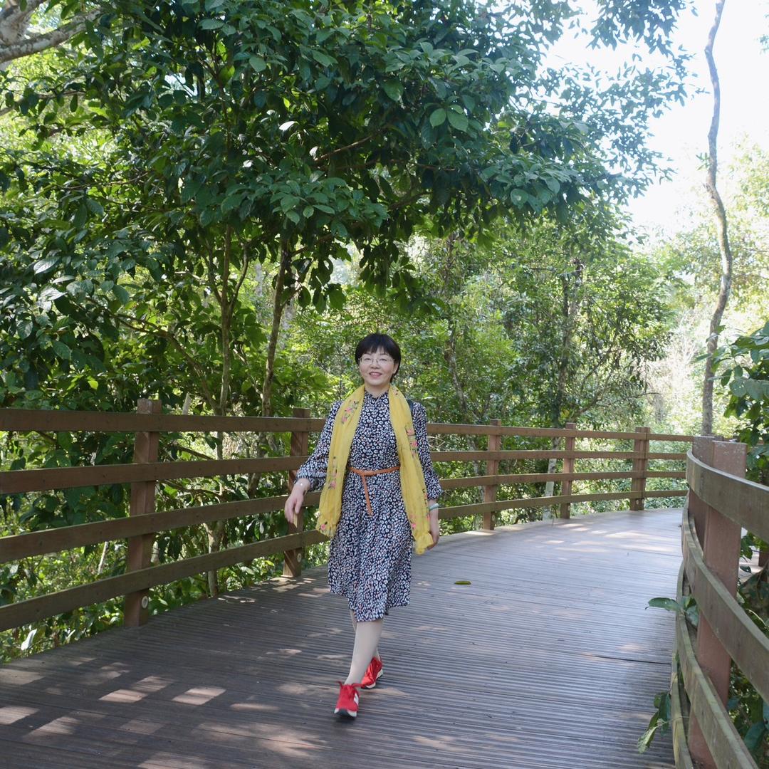 🌾杨柳依依