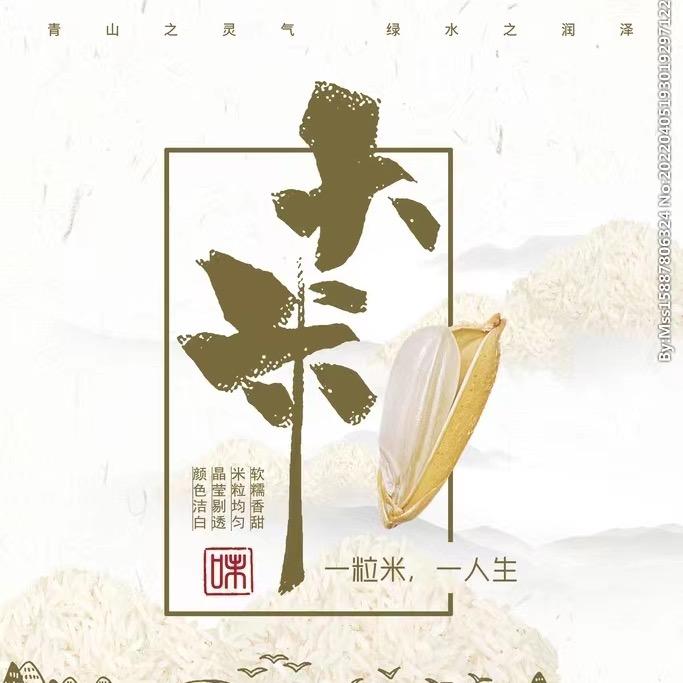 大米世界