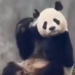 添生我财～