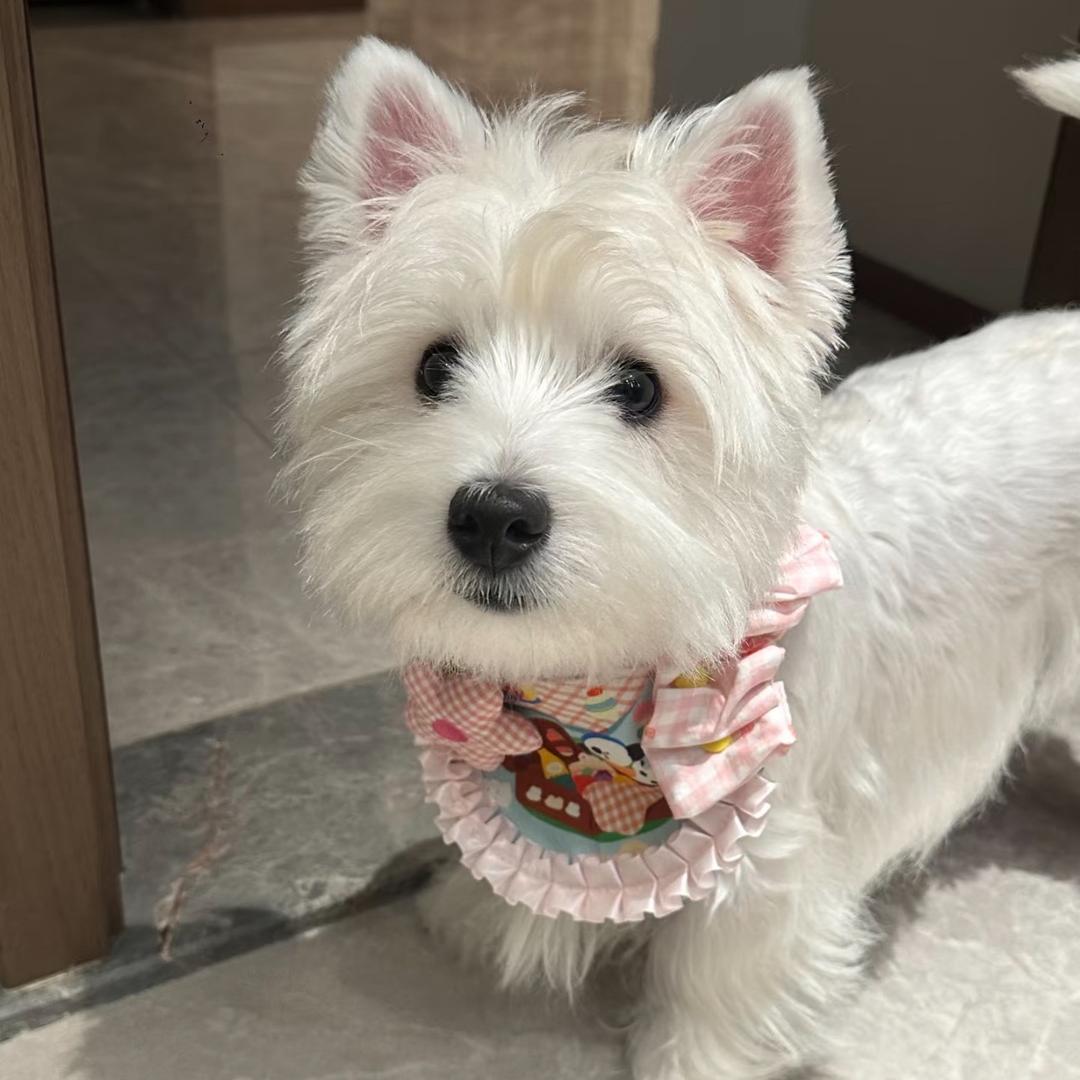 小满小满💗