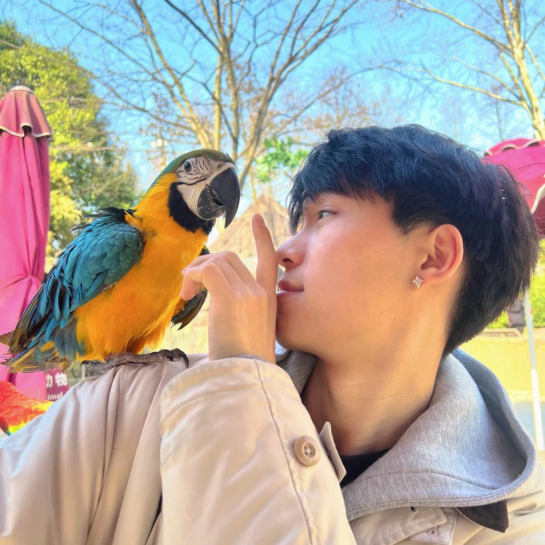 黄杰和它们的故事