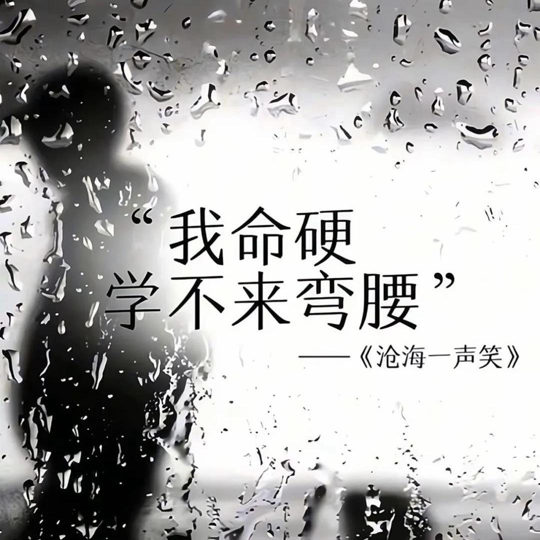 一路发发发