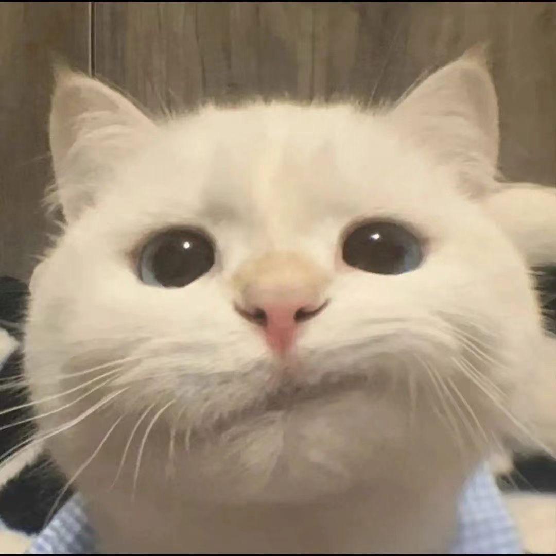 AKA闪闪