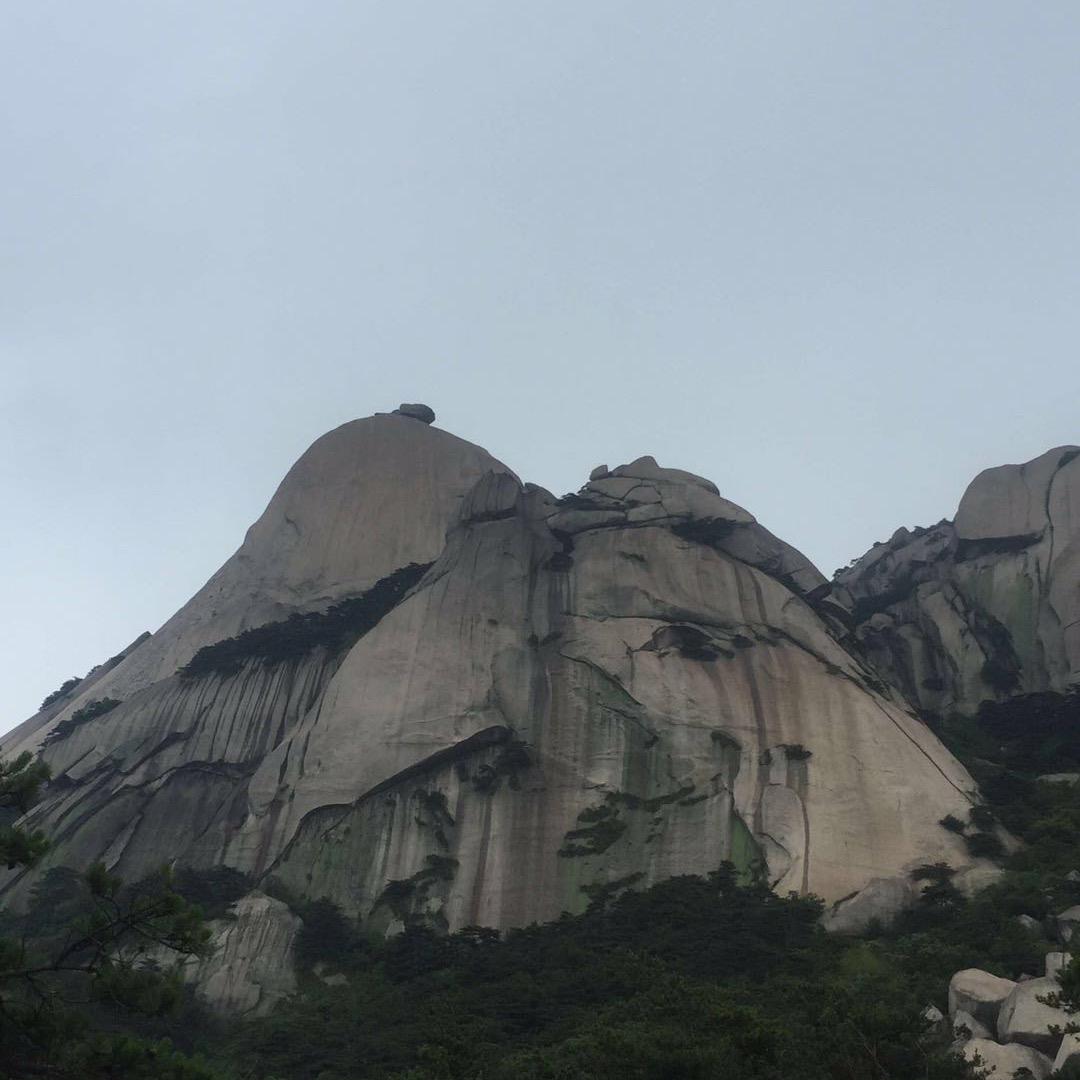 你就来了
