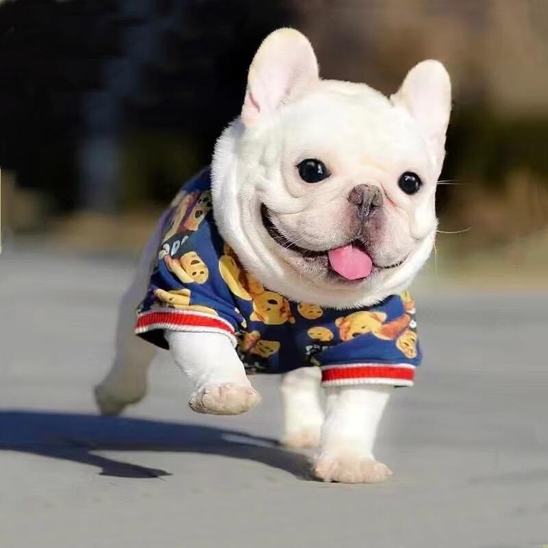 阿立淘宠
