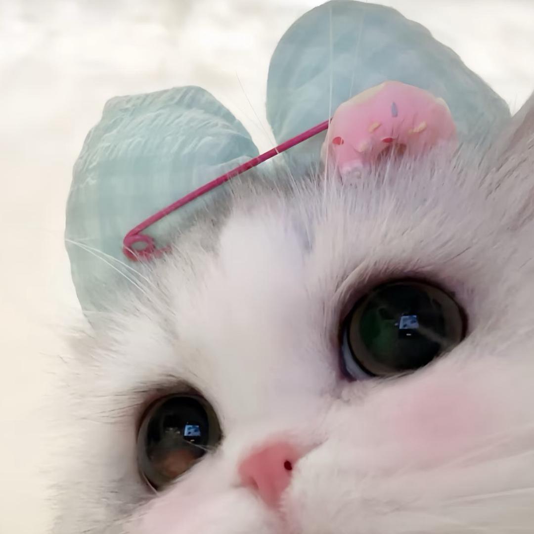 九子酱咩🧸