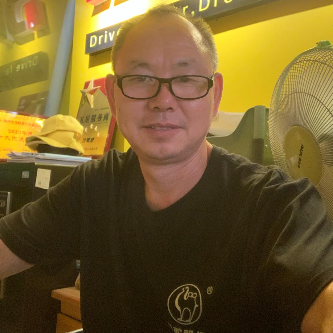 骆驼DF蓄电池(瑶海农机大市场店)