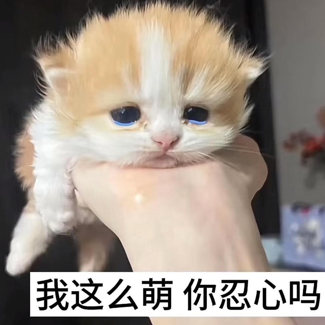 发誓再也不哭