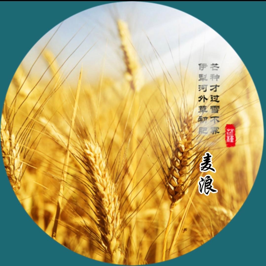 麦浪