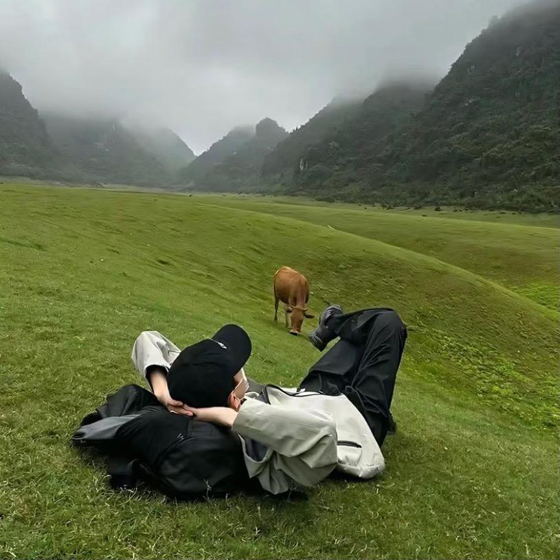 柒安