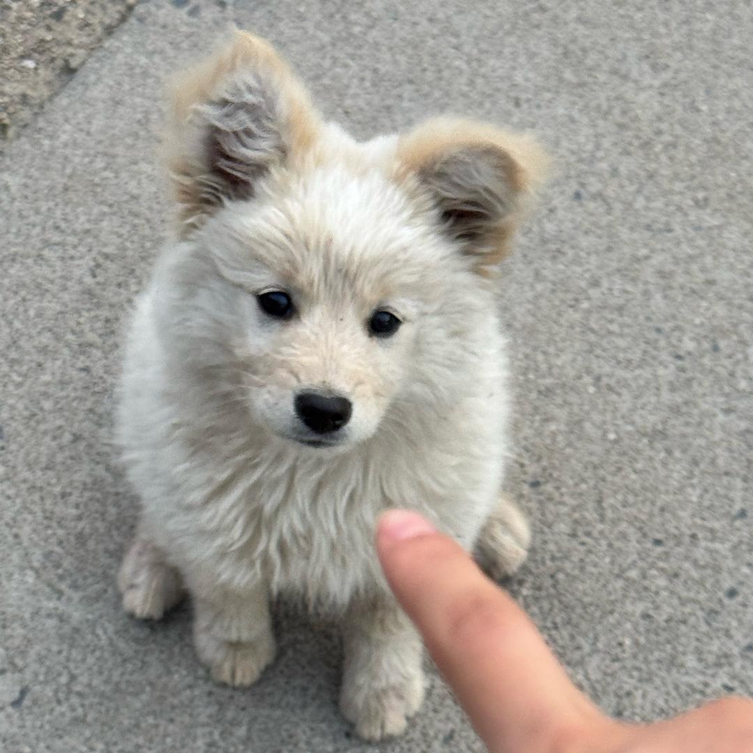 💕