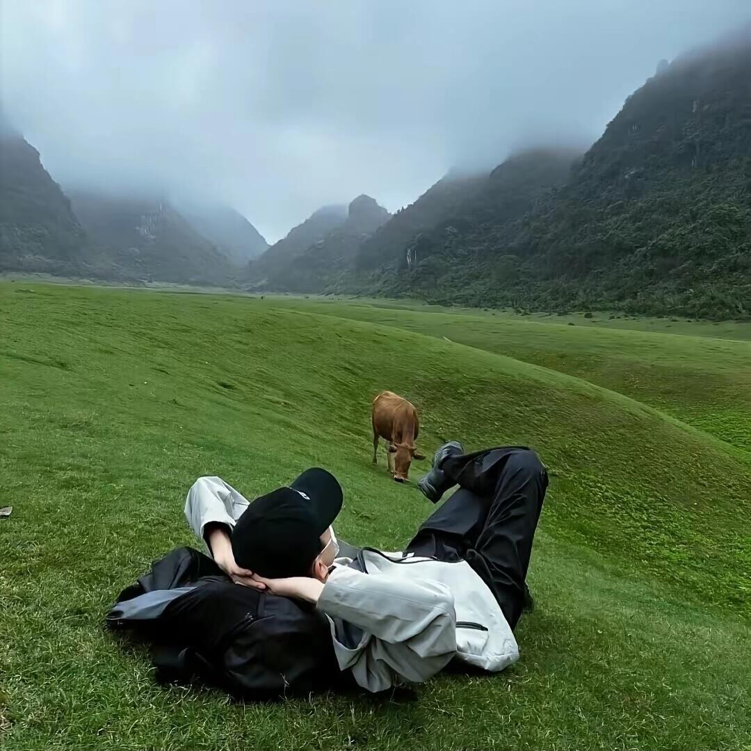 萌萌的哒