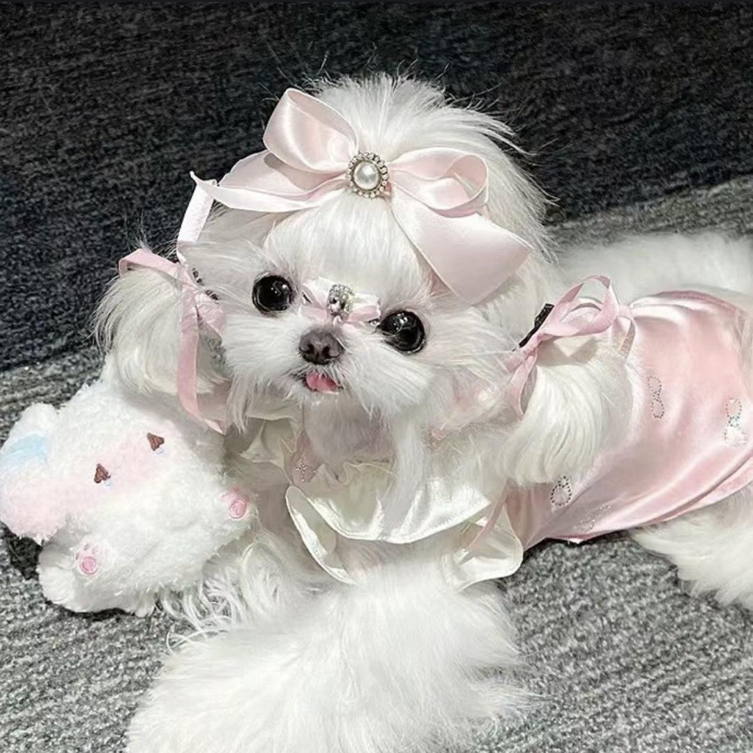 圆子女鞋