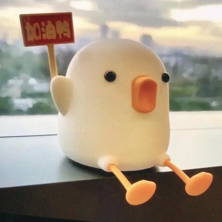 贝子宠物用品商行