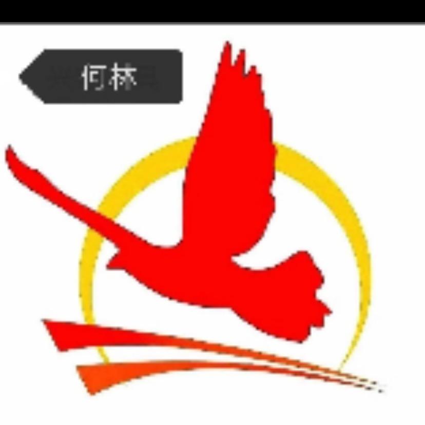 龙腾四海一公棚教练
