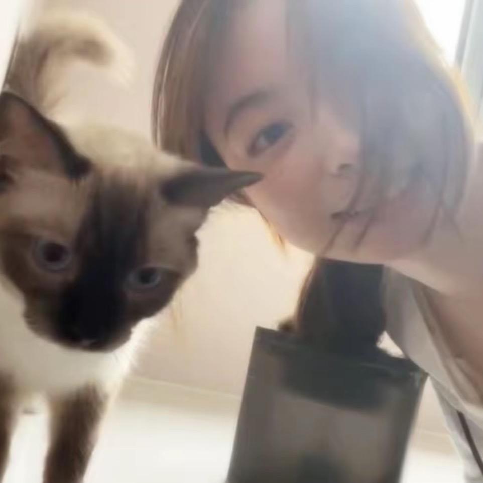 琳淇冰