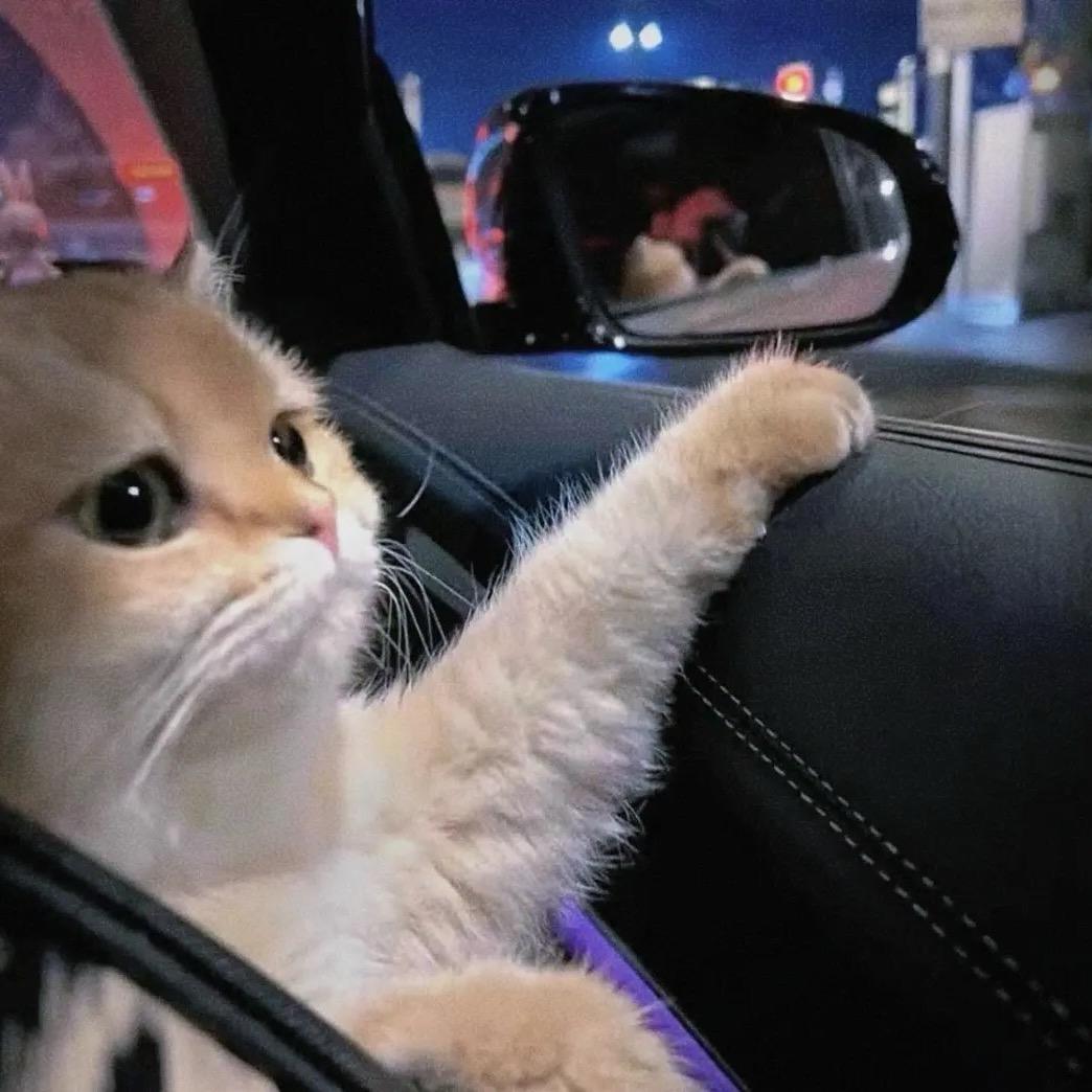 FFF