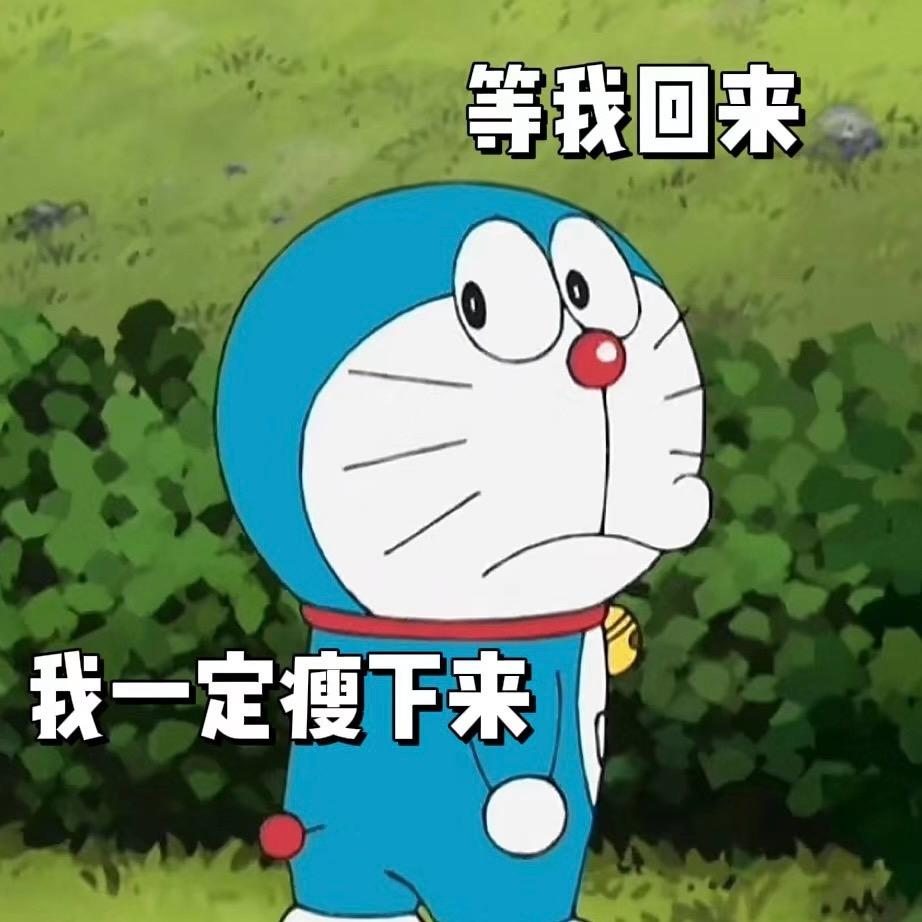 🐑小杨的婚后生活（减肥版）